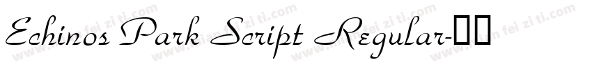 Echinos Park Script Regular字体转换